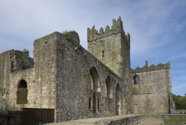 Naturskön Utsikt Över Ruinerna Tintern Abbey County Wexford Irland Europa — Stockfoto