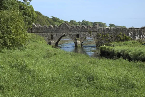 Vista Panorâmica Ponte Histórica Abadia Tintern Condado Wexford Irlanda Europa — Fotografia de Stock
