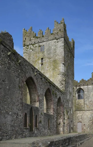 Schilderachtig Uitzicht Ruïnes Van Tintern Abbey County Wexford Ierland Europa — Stockfoto