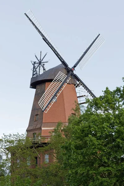 Blick Auf Windmühle Hittbergen Niedersachsen Deutschland Europa — Stockfoto