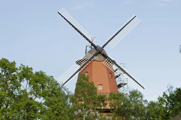 Blick Auf Windmühle Hittbergen Niedersachsen Deutschland Europa — Stockfoto