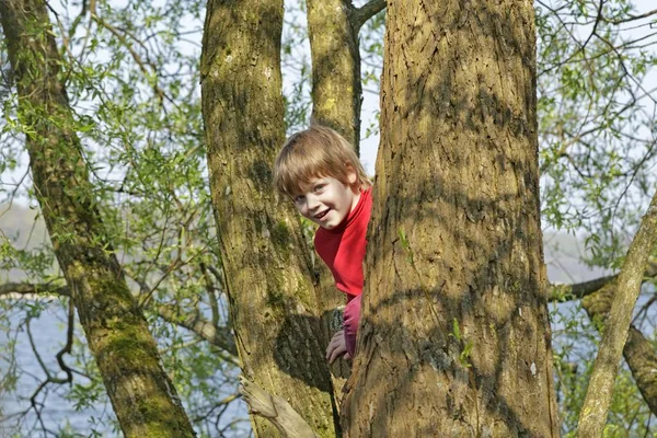 Petite Fille Grimpant Sur Arbre — Photo