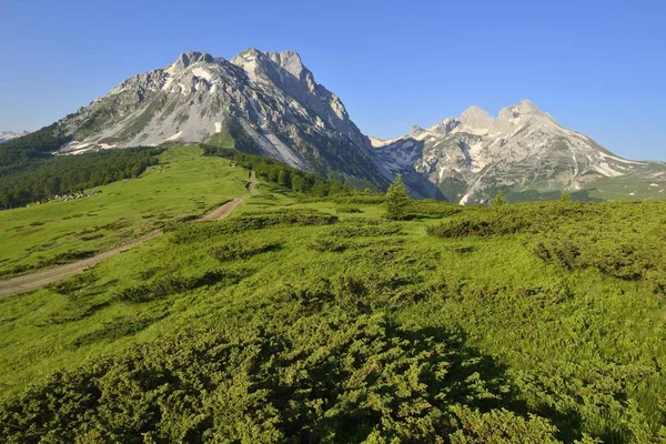 Vista Panorâmica Das Montanhas Komovi Crna Gora Montenegro Europa — Fotografia de Stock