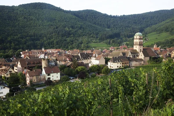 Město Ranním Světle Kaysersberg Haut Rhin Alsasko Alsaská Vinařská Stezka — Stock fotografie