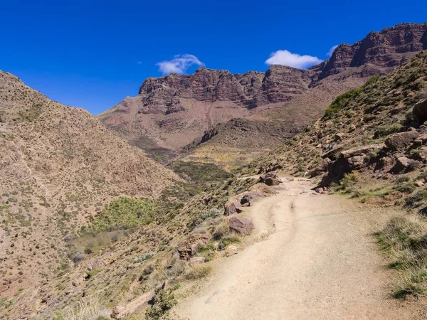 Dirt Path Atlas Mountains Anammer Ourika Valley Marrakech Tensift Haouz — Stock Fotó