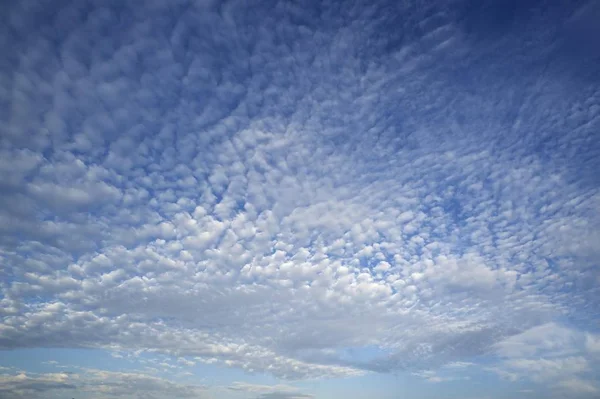 Nubes Altocumulus Alemania Europa —  Fotos de Stock