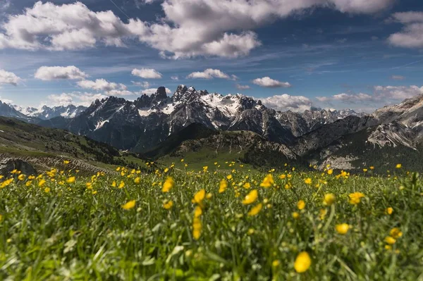 Dolomity Łąką Górską Sexten Południowy Tyrol Włochy Europa — Zdjęcie stockowe