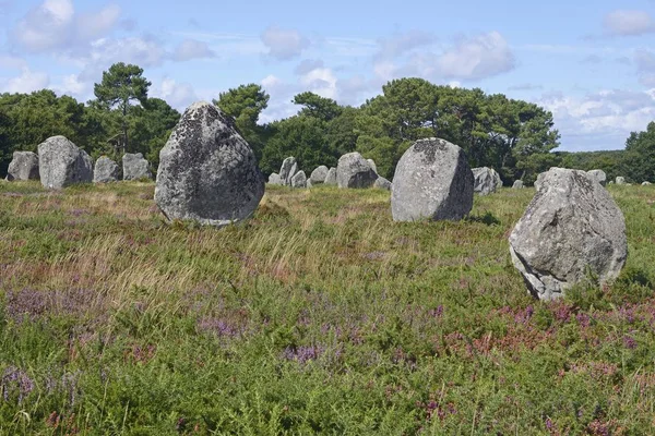 Vista Panorámica Las Piedras Carnac Menhires Cerca Carnac Dpartement Morbihan — Foto de Stock