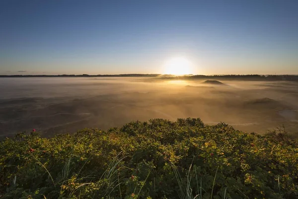 Fog Dunes Heathland Sunrise Henne Region Southern Denmark Denmark Europe — Stock Photo, Image