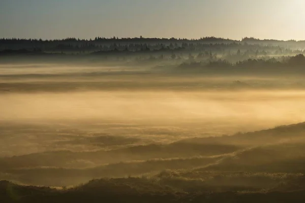 Fog Dunes Heathland Sunrise Henne Region Southern Denmark Denmark Europe — Stock Photo, Image