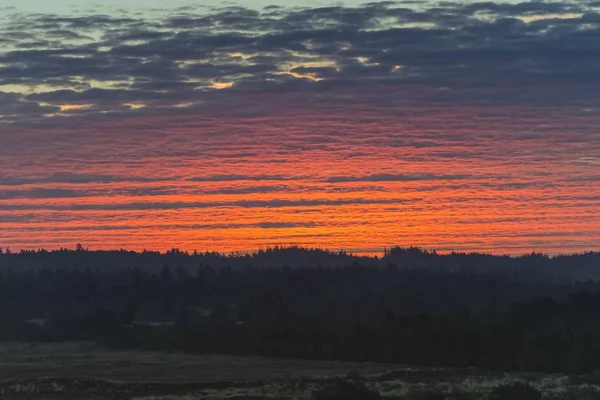 Ciel Rouge Aube Dessus Des Dunes Sable Des Landes Henne — Photo