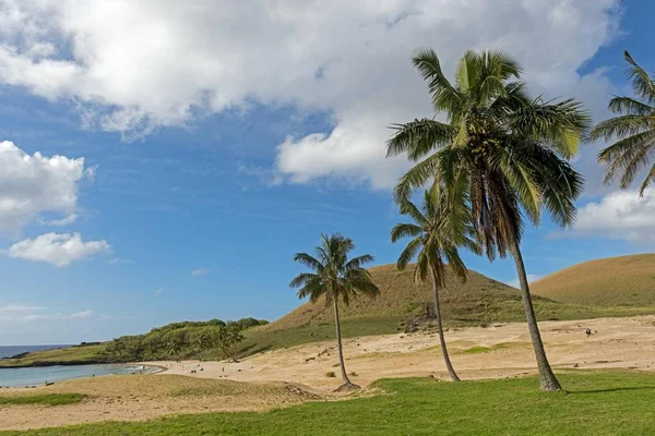 Praia Anakena Rapa Nui Ilha Páscoa Chile América Sul — Fotografia de Stock