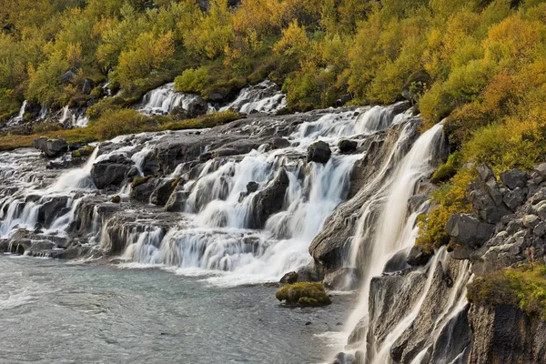 Vandfald Efteråret Island Europa - Stock-foto