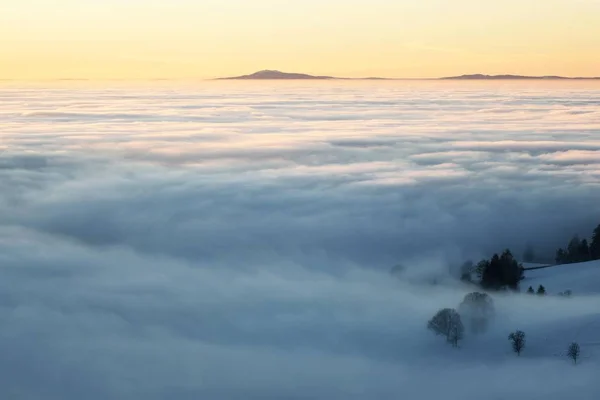 Alta Niebla Valle Del Rin Con Vistas Los Vosgos Desde —  Fotos de Stock