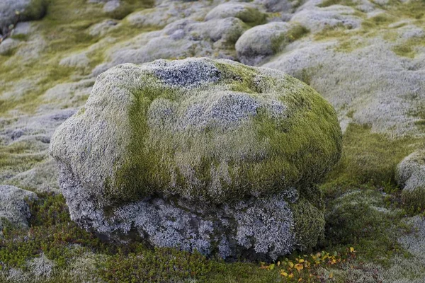 Prachtig Berglandschap Van Ijsland Europa — Stockfoto