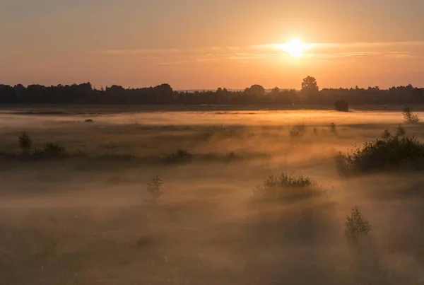 Zonsopgang Recker Moor Met Bodemmist Recke Noordrijn Westfalen Duitsland Europa — Stockfoto