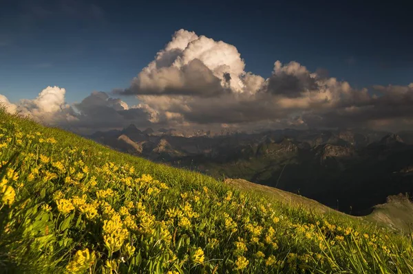 Wolken Über Den Allgäuer Alpen Mit Blumenwiese Oberstdorf Bayern Deutschland — Stockfoto