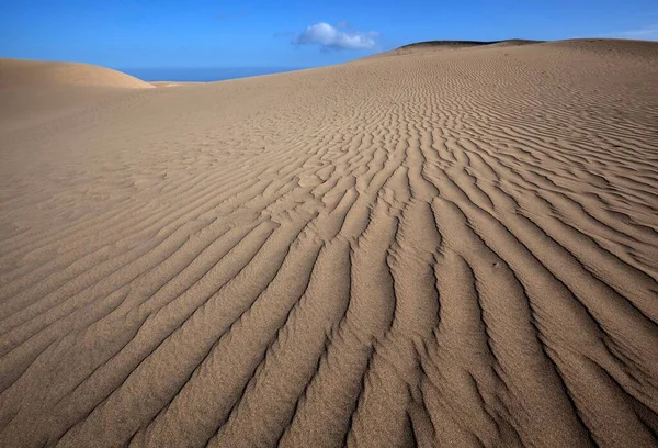Dunes Přírodní Rezervace Maspalomas Dunes Gran Canaria Kanárské Ostrovy Španělsko — Stock fotografie