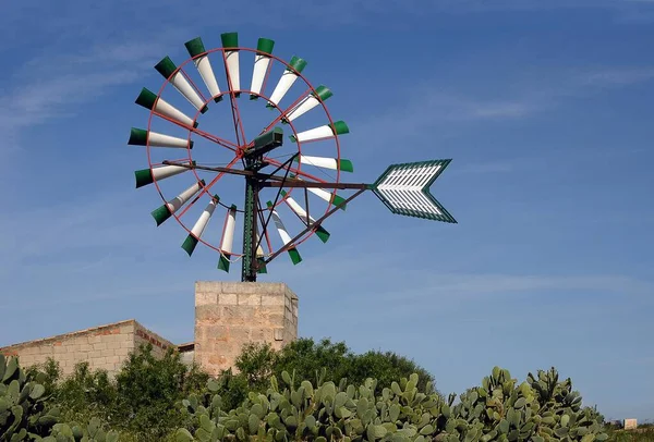 Větrný Mlýn Kaktusy Campos Mallorca Baleárské Ostrovy Španělsko Evropa — Stock fotografie
