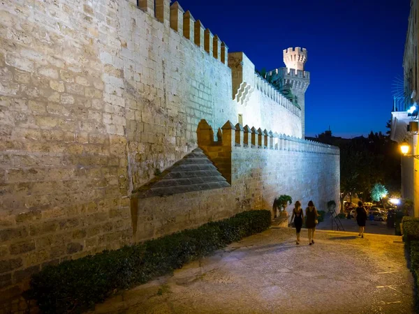 Almudaina Palace Palau Lalmudaia Avinguda Gabriel Roca Parc Mar Historic — 스톡 사진