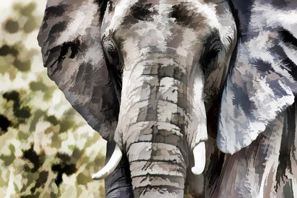 Elefante Retrato Modificado Maasai Mara Kenia África — Foto de Stock