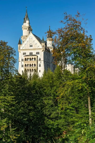 Belle Architecture Château Médiéval — Photo