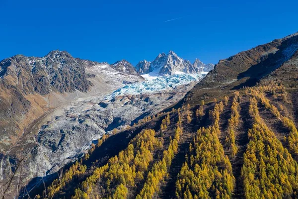 Glacier Tour Aiguille Tour Mont Blanc Massif Floresta Larício Outonal — Fotografia de Stock