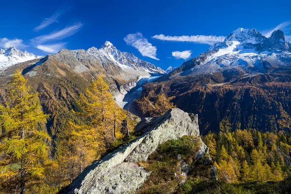 Floresta Larício Outonal Vista Das Montanhas Chamonix Chamonix Rhone Alpes — Fotografia de Stock