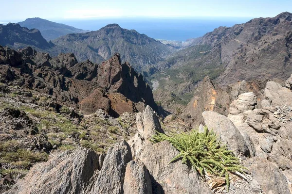 Roque Los Muchachos Palma Canary Islands スペイン ヨーロッパ — ストック写真