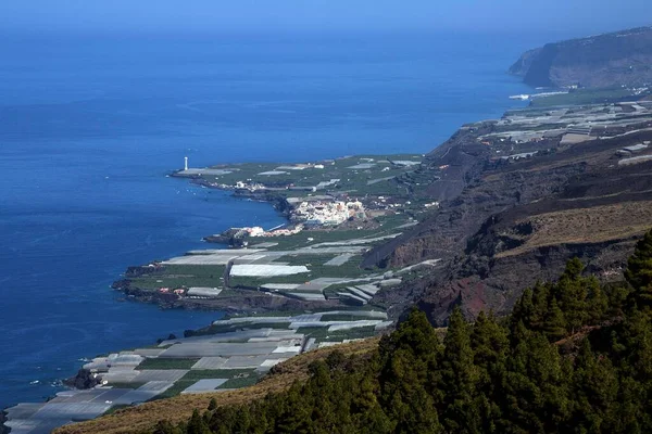 バナナ農園とプエルトナオス島 西海岸 パルマ島 カナリア諸島 スペイン ヨーロッパへの眺め — ストック写真