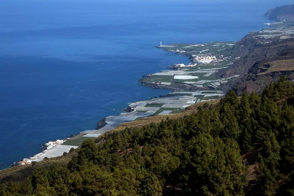 Προβολή Φυτείες Μπανάνας Και Puerto Naos Δυτική Ακτή Palma Κανάρια — Φωτογραφία Αρχείου