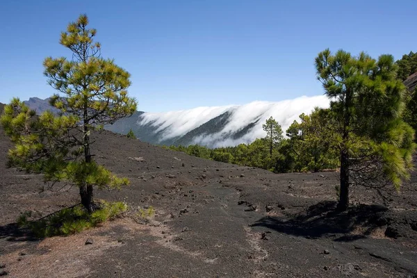 Vista Panorámica Del Volcán Teneguia Fuencaliente Palma Islas Canarias España —  Fotos de Stock