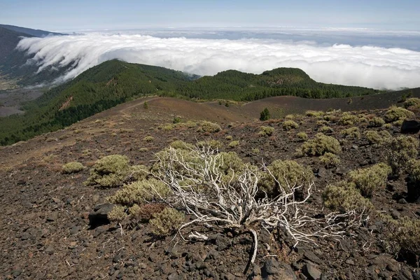 Blick Auf Den Vulkan Teneguia Fuencaliente Palma Kanarische Inseln Spanien — Stockfoto
