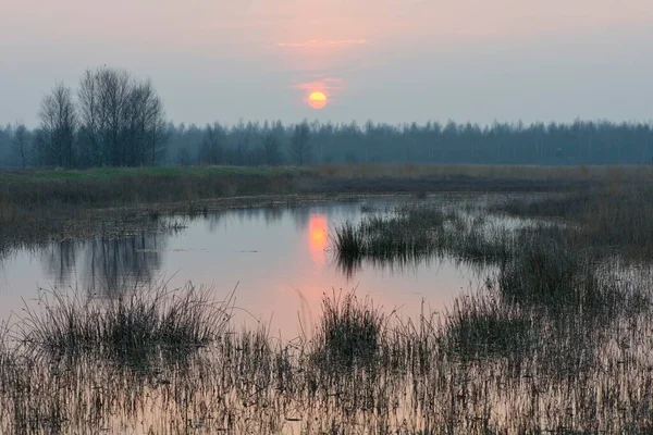 Západ Slunce Oblasti Opětovného Zavlažování Haren Emsland Dolní Sasko Německo — Stock fotografie