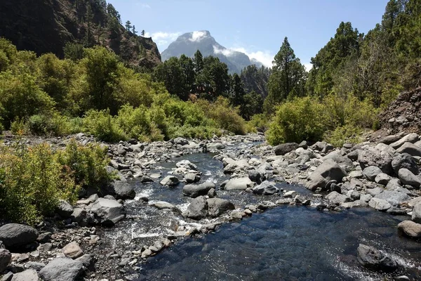 Rio Taburiente Caldera Taburiente Nationalpark Palma Kanarieöarna Spanien Europa — Stockfoto