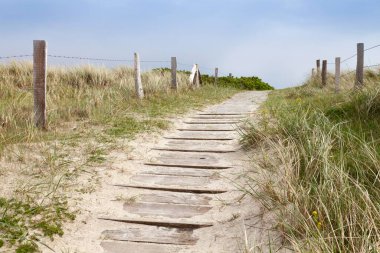 Path across the dune, Wangerooge, East Frisian Island, East Frisia, Lower Saxony, Germany, Europe  clipart