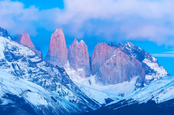 Cuernos Des Paine Torres Morning Torres Del Paine National Park — Stock Photo, Image