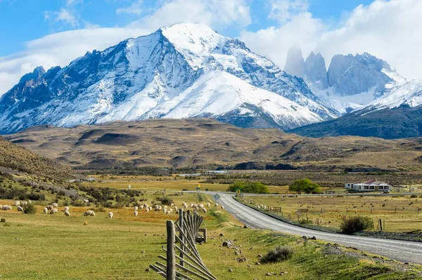 Cuernos Del Paine Torres Del Paine National Park Chilean Patagonia — Stock Photo, Image