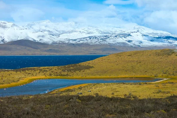 Пейзаж Национальном Парке Торрес Дель Пайне Чили Южная Америка — стоковое фото