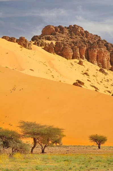 Λόφος Σχεδόν Πλήρως Καλυμμένος Άμμο Από Αμμόλοφο Διαδρομή Από Atar — Φωτογραφία Αρχείου