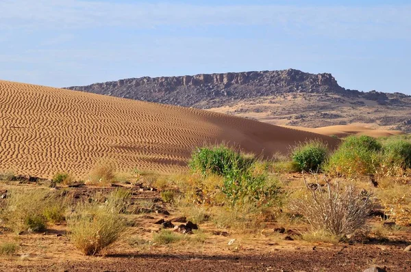 Woestijnlandschap Met Zandduinen Rotsachtige Heuvels Route Van Atar Naar Tidjikja — Stockfoto