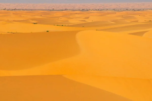 Krajobraz Pustynny Wydmami Trasa Atar Tidjikja Region Adrar Mauretania Afryka — Zdjęcie stockowe