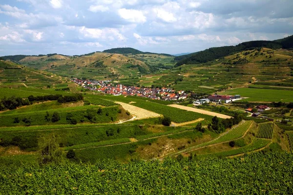 Blick Von Der Mondhalde Auf Oberbergen Vogtsburg Kaiserstuhl Schwarzwald Baden — Stockfoto