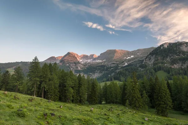 Warscheneck山 Pyhrn PrielまたはPyhrn Eisenwurzen Traunviertel 上オーストリア オーストリア ヨーロッパと日の出のWurzeralm — ストック写真