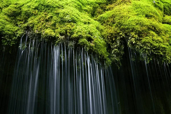苔むした滝 ヴタシュルヒト峡谷 黒い森 バーデン ロッテルベルク ドイツ ヨーロッパ — ストック写真