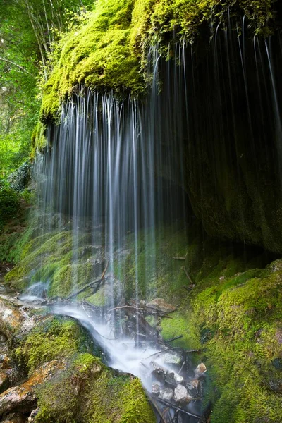 苔むした滝 ヴタシュルヒト峡谷 黒い森 バーデン ロッテルベルク ドイツ ヨーロッパ — ストック写真