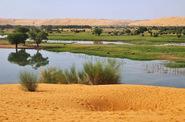 Temporary lake after rain in the oasis, Moudjeria, Tagant region, Mauritania, Africa
