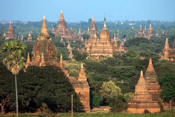 塔フィールド バガン マンダレー地区 ミャンマー アジアのビュー — ストック写真