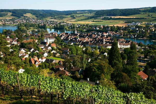 Veduta Del Centro Storico Stein Rhein Hochrhein Canton Sciaffusa Svizzera — Foto Stock