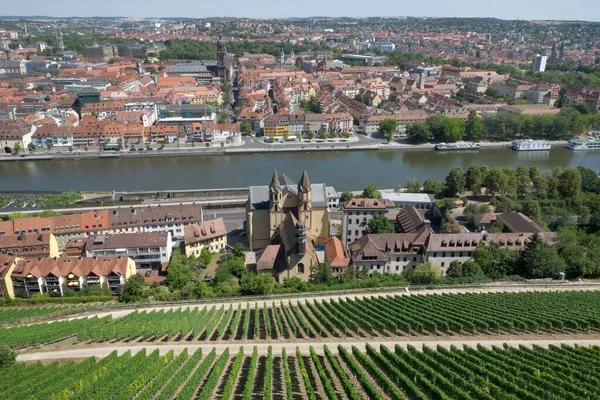 Üzüm Bağları Ana Nehir Şehir Manzarası Wrzburg Aşağı Franconia Bavyera — Stok fotoğraf